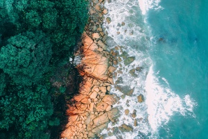 How to bulk download CoastSnap images